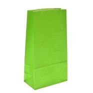 שקית נייר בסיס- ירוק 6 יח