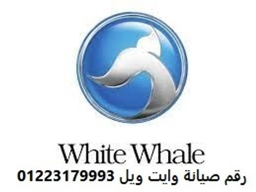 شركة وايت ويل شبرا مصر 