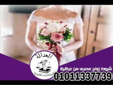 اشهر محامي زواج عرفي شرعي في مصر 