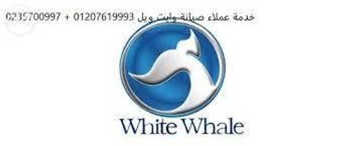 خدمة عملاء وايت ويل فيصل 01095999314