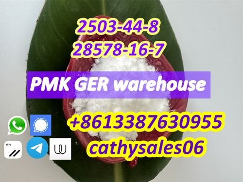 pmk glycidate liquid / pmk wax CAS 28578-16-7