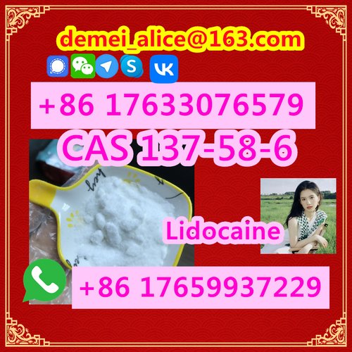  Manufacturer Supply Raw Material CAS 137-58-6 Lidocaine