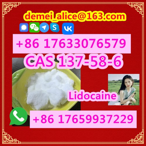  Manufacturer Supply Raw Material CAS 137-58-6 Lidocaine