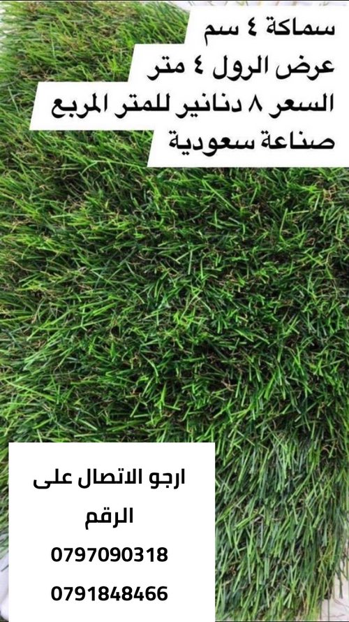 عشب ارضيات سعودي 