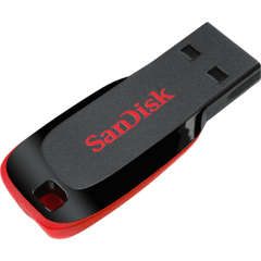 SanDisk USB Flash drive - 4GB - usb 2.0 - Black and Red color