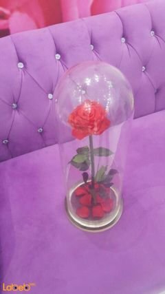 Red flowers with a special Vase - Stay for a year - Nice design