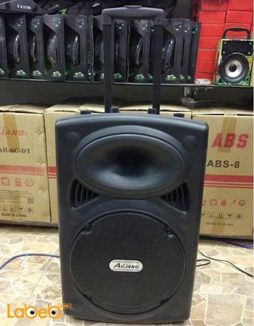 Ailiang portable speaker - Bluetooth - Radio FM - F14K-DT