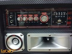 ABS DJ Speaker - 10inch - 99000Watt - Black - USB/SD Port