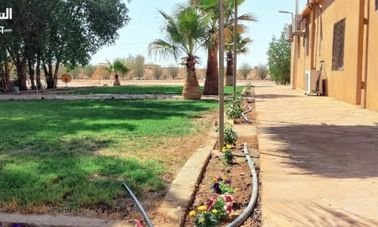 Farm for rent in North Riyadh, Doklah, 50,000 square meters