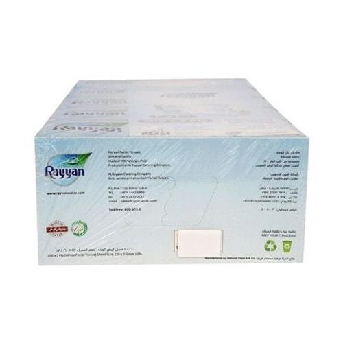 Rayyan Facial Tissue 200Pcsx5