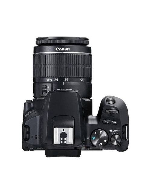 كاميرا رقمية كانون EOS 250D، دقة 24.1 ميجابكسل، تصوير 4k، لون أسود