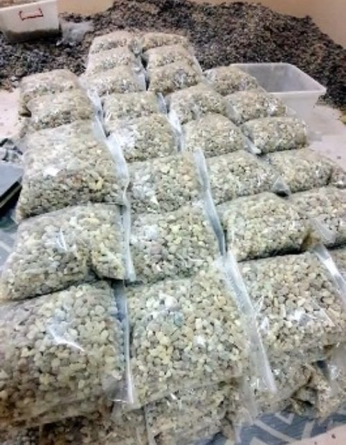 Omani Al-Thikr Frankincense green medium grain, 1 kg